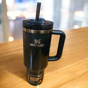 Stanley x Wicked Elphaba 40 oz tumbler